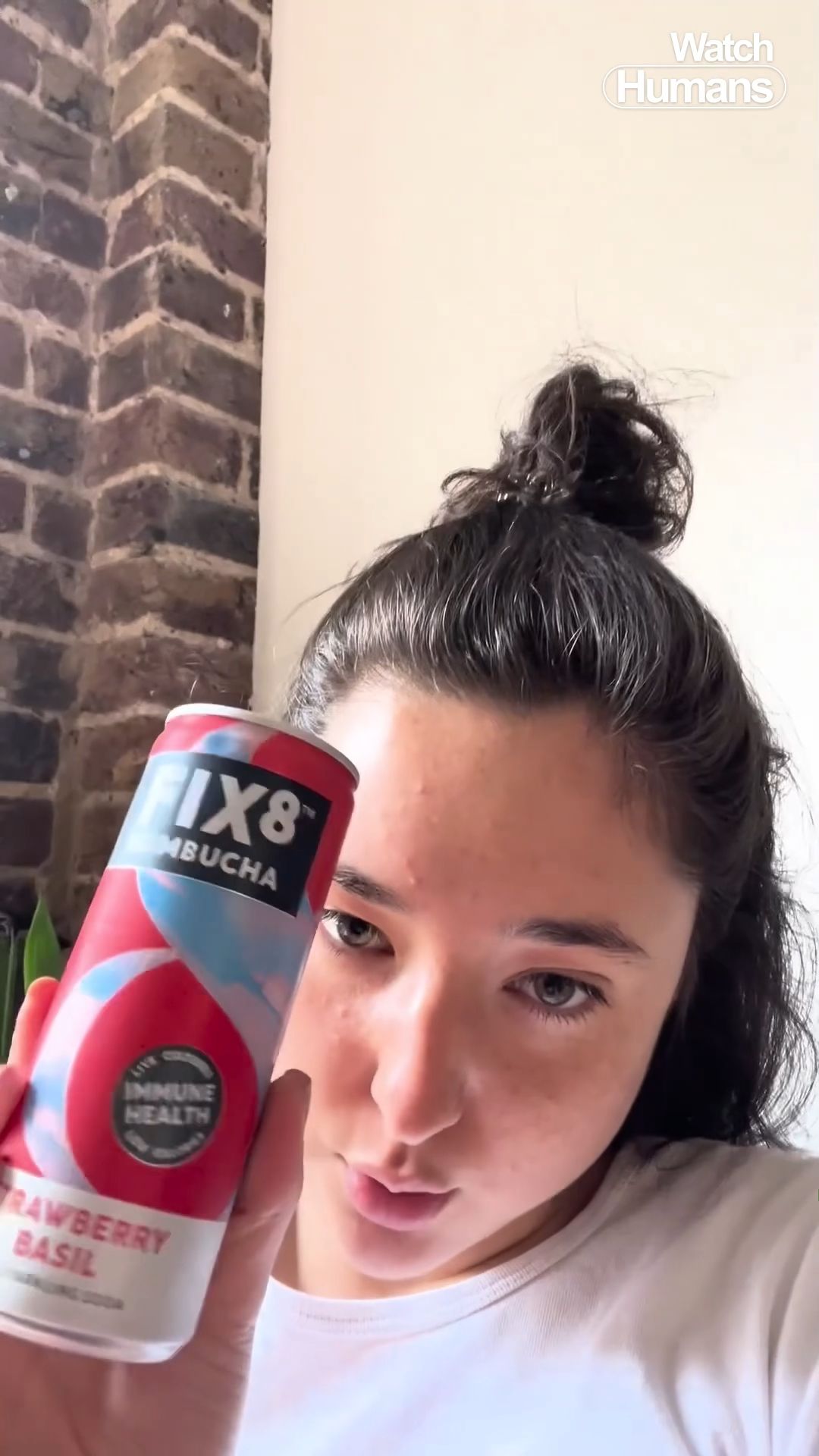 Raspberry Lemonade Water Kefir – Fix8